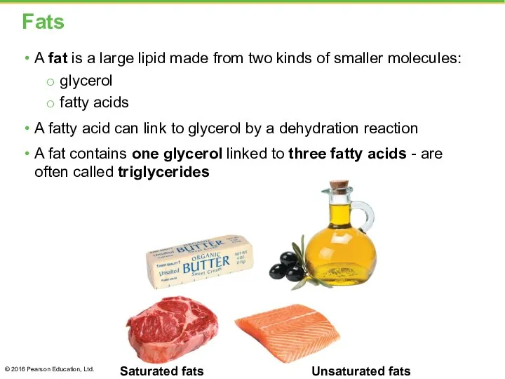 Fats A fat is a large lipid made from two