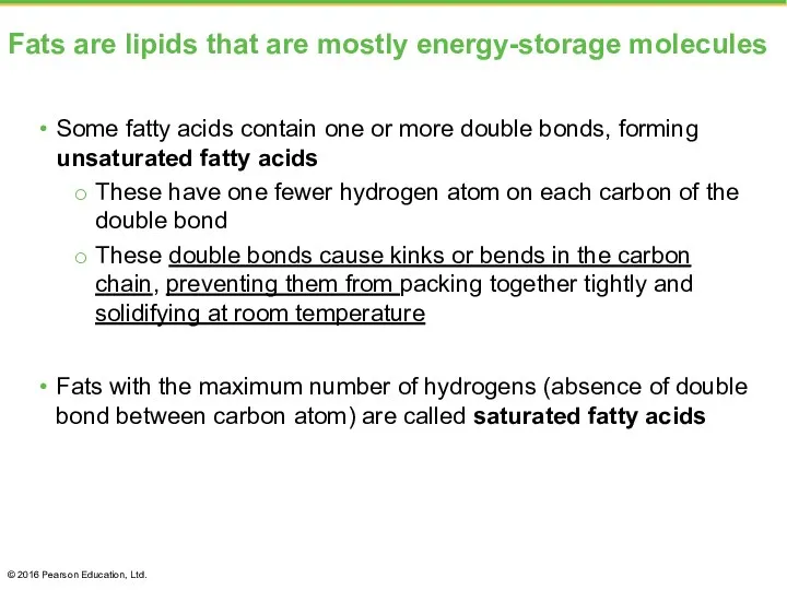 Fats are lipids that are mostly energy-storage molecules Some fatty