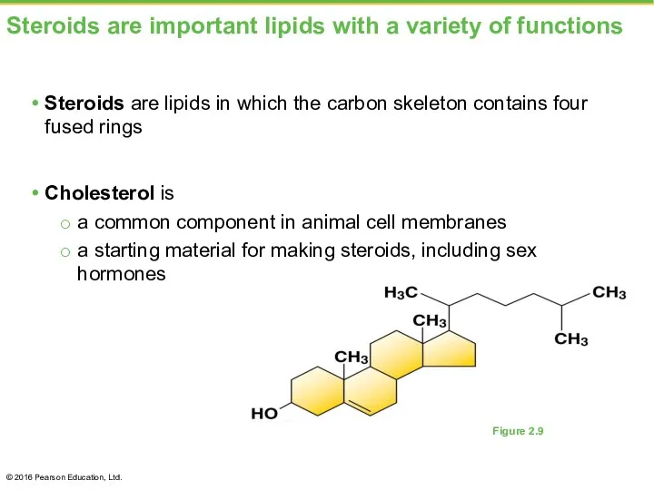 Steroids are important lipids with a variety of functions Steroids