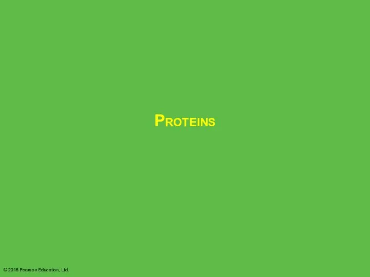 Proteins © 2016 Pearson Education, Ltd.
