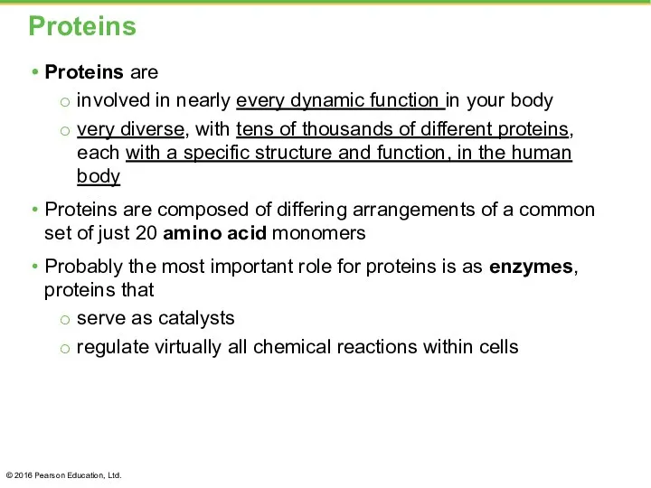 Proteins Proteins are involved in nearly every dynamic function in