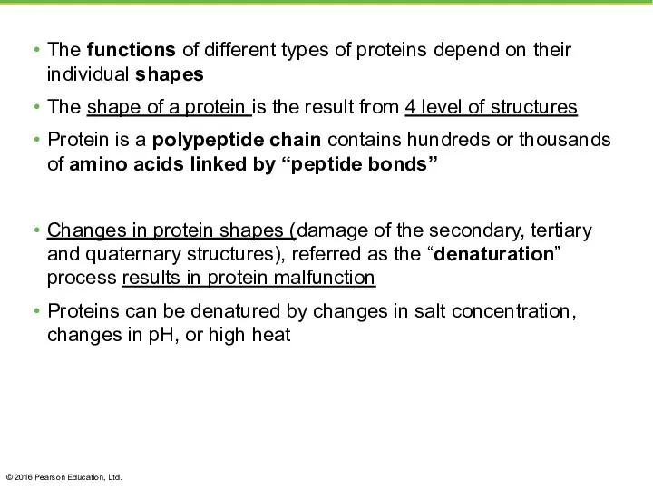 The functions of different types of proteins depend on their