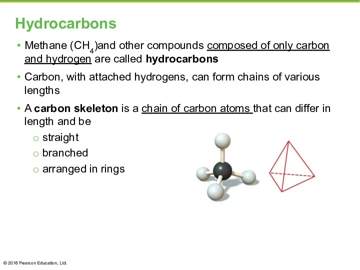Hydrocarbons Methane (CH4)and other compounds composed of only carbon and
