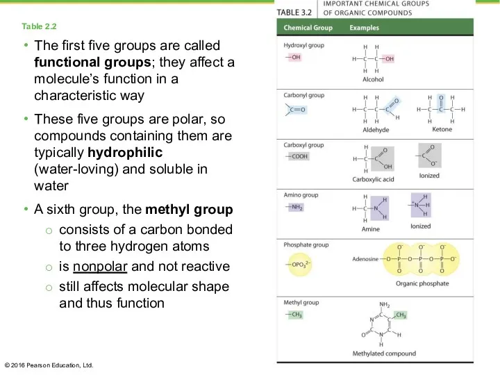 Table 2.2 The first five groups are called functional groups;