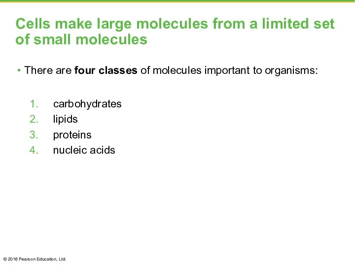 Cells make large molecules from a limited set of small