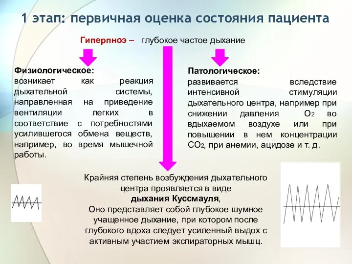 1 этап: первичная оценка состояния пациента Гиперпноэ – глубокое частое