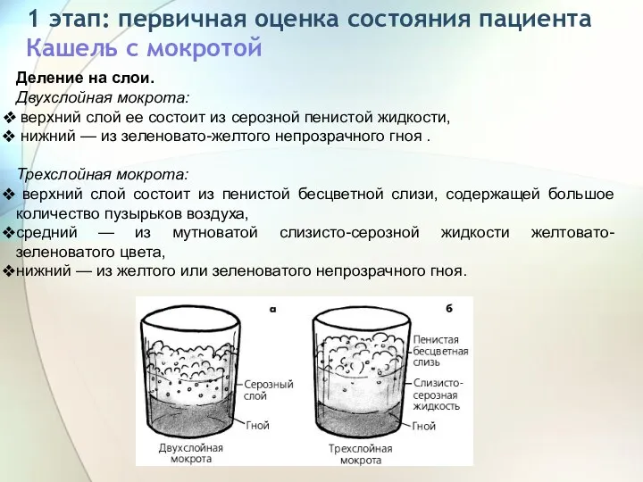 1 этап: первичная оценка состояния пациента Кашель с мокротой Деление