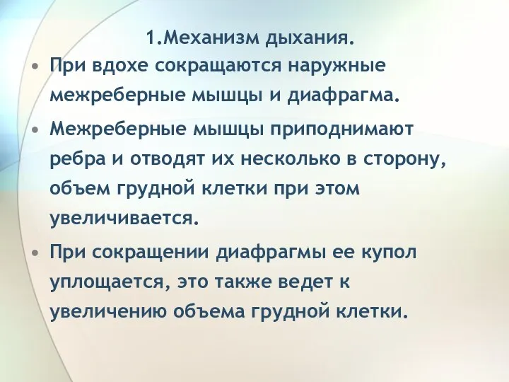 1.Механизм дыхания. При вдохе сокращаются наружные межреберные мышцы и диафрагма.