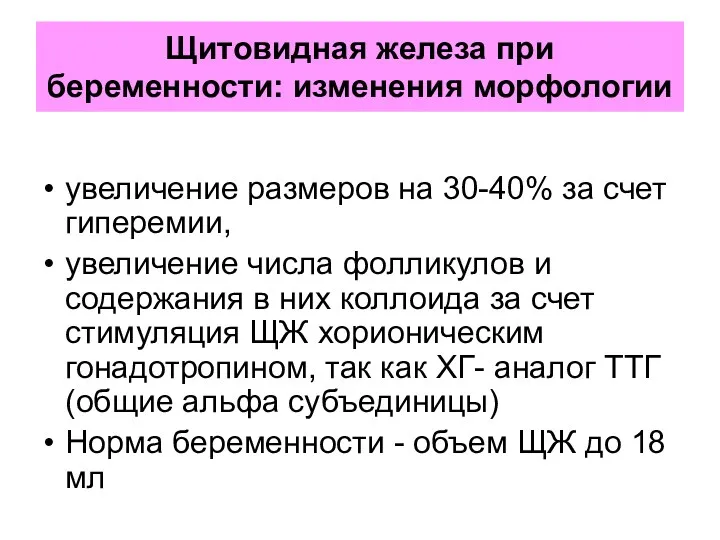 Щитовидная железа при беременности: изменения морфологии увеличение размеров на 30-40%