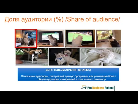 Доля аудитории (%) /Share of audience/ ДОЛЯ ТЕЛЕСМОТРЕНИЯ (SHARE%) Отношение