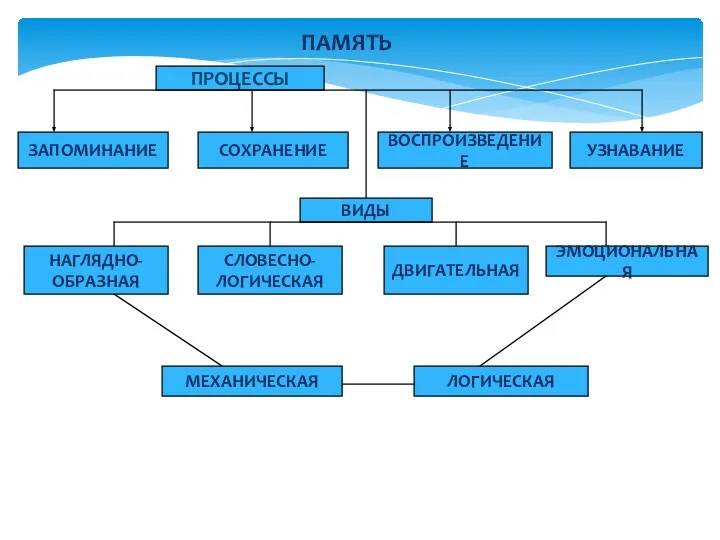 ПАМЯТЬ ПРОЦЕССЫ ЗАПОМИНАНИЕ СОХРАНЕНИЕ ВОСПРОИЗВЕДЕНИЕ УЗНАВАНИЕ ВИДЫ НАГЛЯДНО- ОБРАЗНАЯ СЛОВЕСНО- ЛОГИЧЕСКАЯ ДВИГАТЕЛЬНАЯ ЭМОЦИОНАЛЬНАЯ МЕХАНИЧЕСКАЯ ЛОГИЧЕСКАЯ