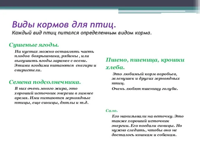 Виды кормов для птиц. Каждый вид птиц питался определенным видом корма. Сушеные ягоды.