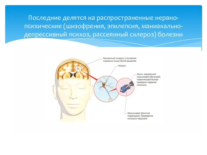 Последние делятся на распространенные нервно-психические (шизофрения, эпилепсия, маниакально-депрессивный психоз, рассеянный склероз) болезни