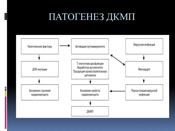 ПАТОГЕНЕЗ ДКМП