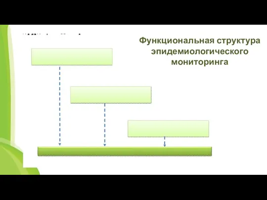 Функциональная структура эпидемиологического мониторинга