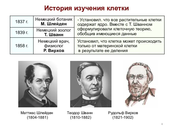 История изучения клетки Маттиас Шлейден Теодор Шванн Рудольф Вирхов (1804-1881) (1810-1882) (1821-1902)