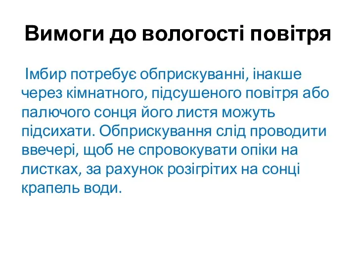 Вимоги до вологості повітря Імбир потребує обприскуванні, інакше через кімнатного,