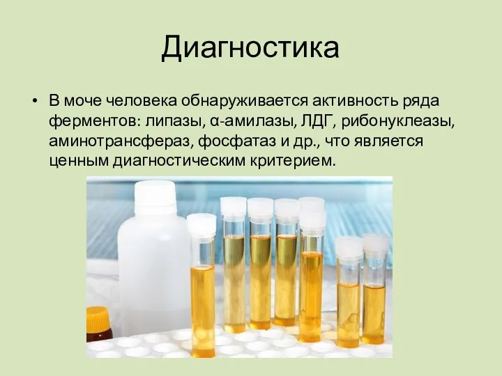 Диагностика В моче человека обнаруживается активность ряда ферментов: липазы, α-амилазы,