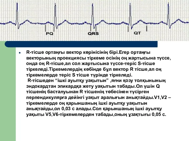 R-тісше ортаңғы вектор көрінісінің бірі.Егер ортаңғы векторының проекциясы тіркеме осінің оң жартысына түссе,онда