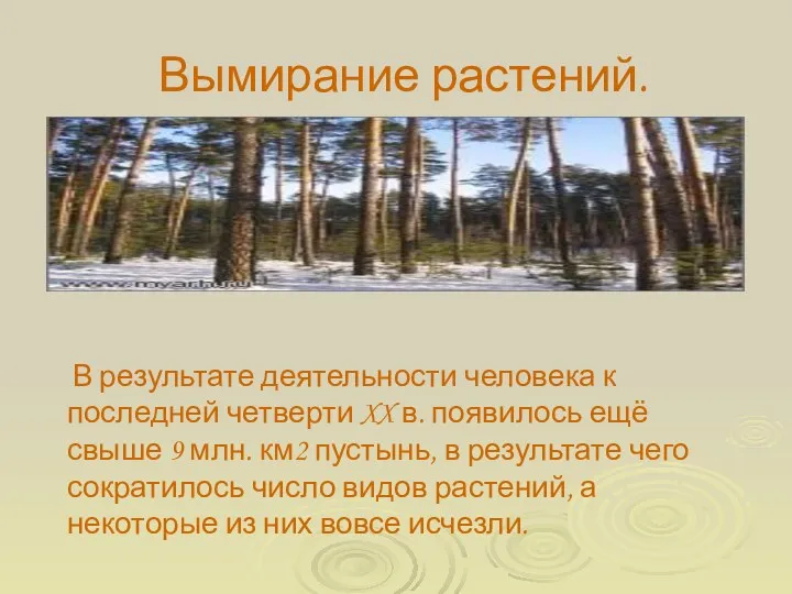 Вымирание растений. В результате деятельности человека к последней четверти XX