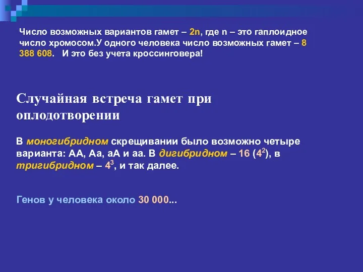 Случайная встреча гамет при оплодотворении В моногибридном скрещивании было возможно