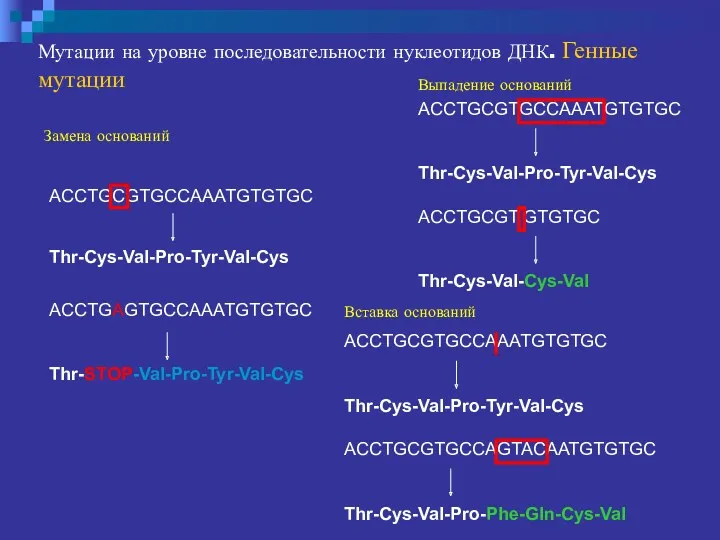 Мутации на уровне последовательности нуклеотидов ДНК. Генные мутации Замена оснований Выпадение оснований Вставка