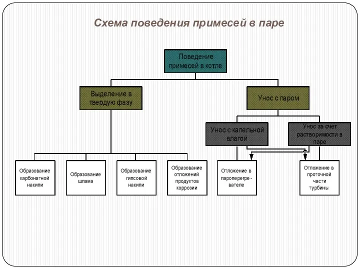 Схема поведения примесей в паре