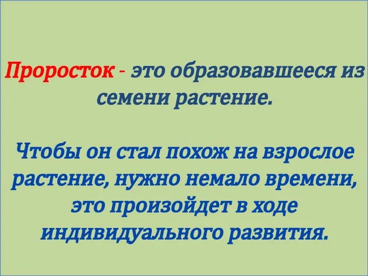 Проросток - это образовавшееся из семени растение. Чтобы он стал