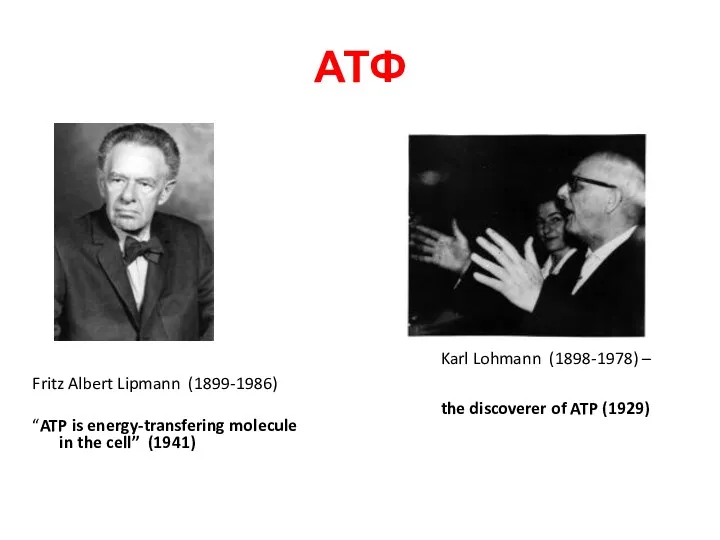 АТФ Fritz Albert Lipmann (1899-1986) “ATP is energy-transfering molecule in the cell” (1941)