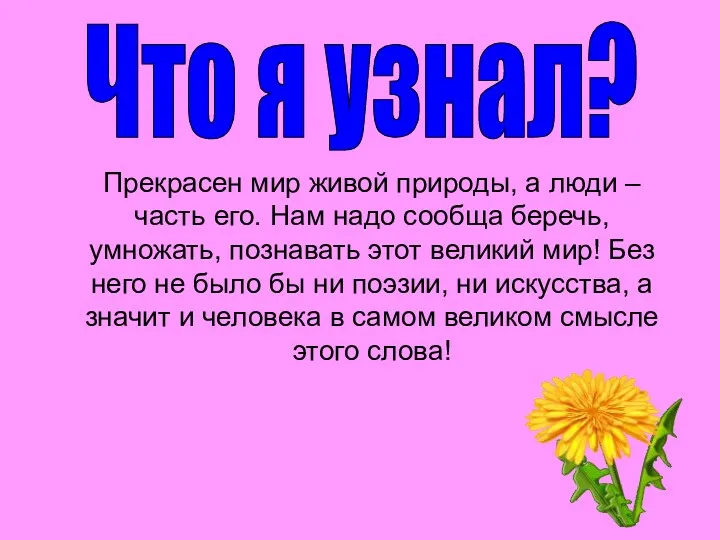 Прекрасен мир живой природы, а люди – часть его. Нам