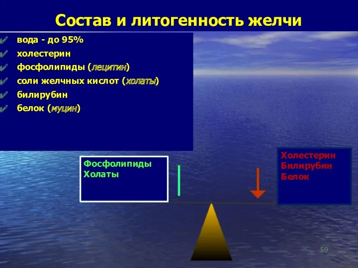 Состав и литогенность желчи вода - до 95% холестерин фосфолипиды