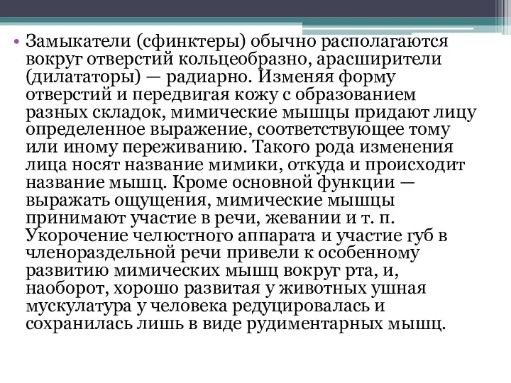 Замыкатели (сфинктеры) обычно располагаются вокруг отверстий кольцеобразно, арасширители (дилататоры) —