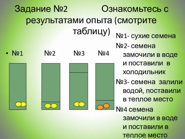 Задание №2 Ознакомьтесь с результатами опыта (смотрите таблицу) №1 №2