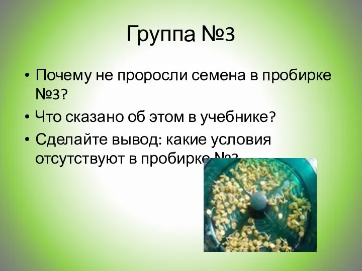 Группа №3 Почему не проросли семена в пробирке №3? Что