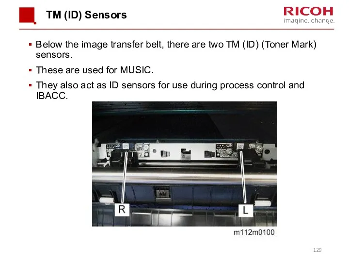 TM (ID) Sensors Below the image transfer belt, there are two TM (ID)