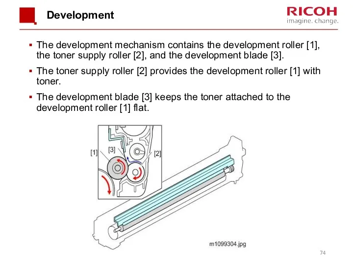 Development The development mechanism contains the development roller [1], the toner supply roller