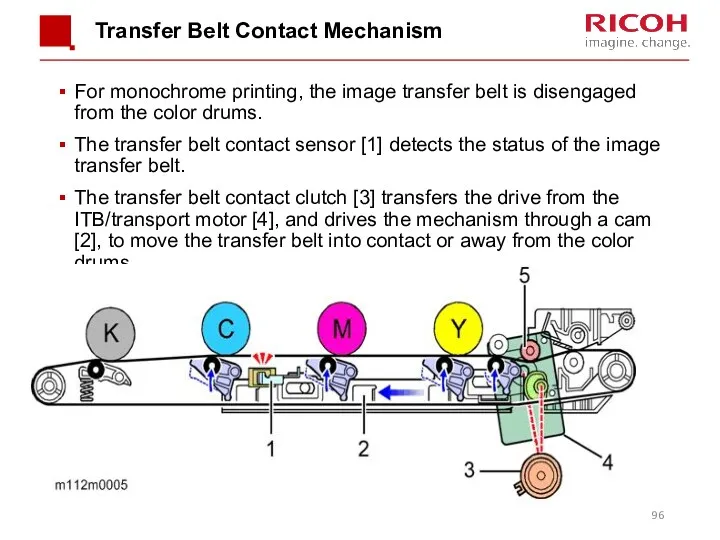 Transfer Belt Contact Mechanism For monochrome printing, the image transfer belt is disengaged
