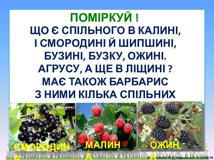 ПОМІРКУЙ ! ЩО Є СПІЛЬНОГО В КАЛИНІ, І СМОРОДИНІ Й