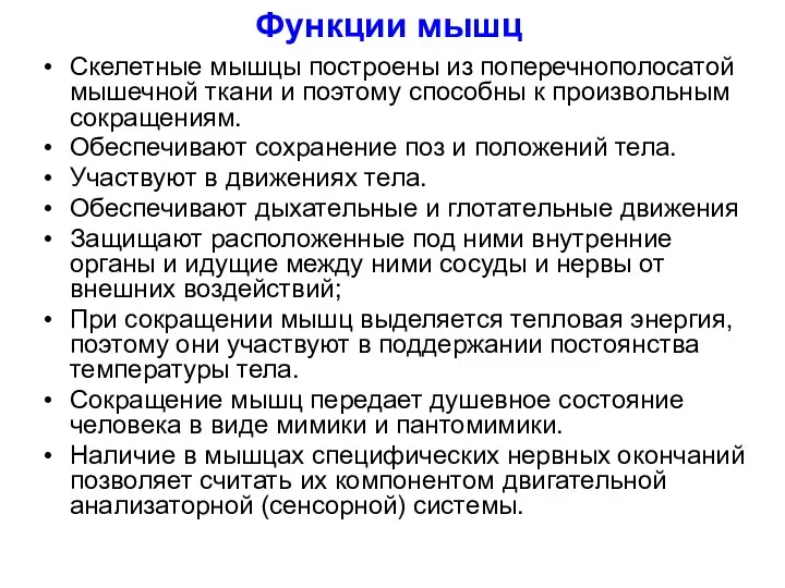 Функции мышц Скелетные мышцы построены из поперечнополосатой мышечной ткани и