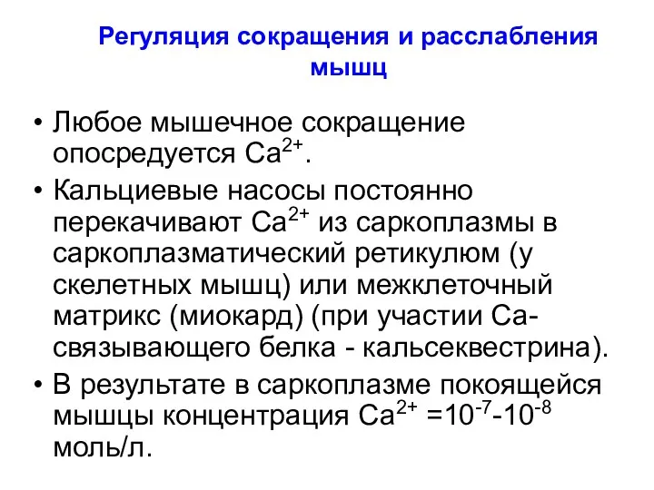 Регуляция сокращения и расслабления мышц Любое мышечное сокращение опосредуется Са2+.