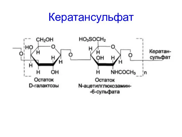 Кератансульфат