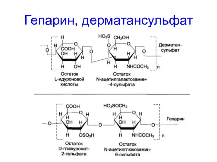 Гепарин, дерматансульфат