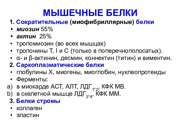 1. Сократительные (миофибриллярные) белки миозин 55% актин 25% тропомиозин (во