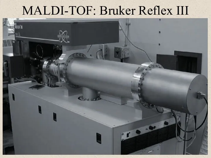 MALDI-TOF: Bruker Reflex III