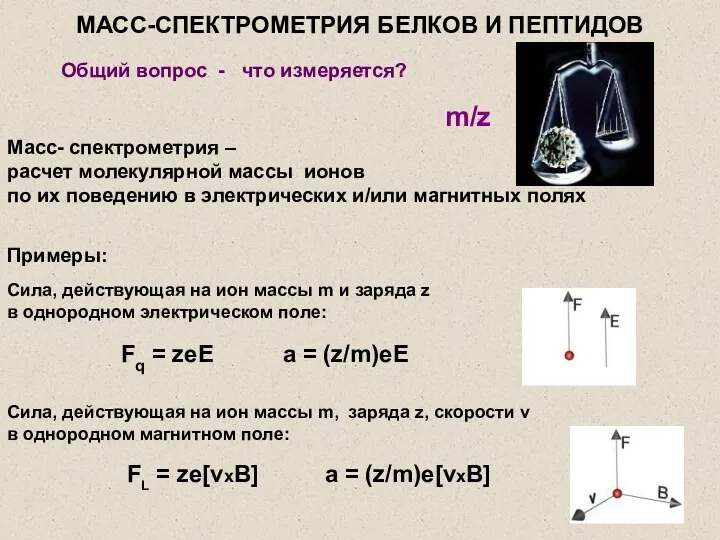 Общий вопрос - что измеряется? Масс- спектрометрия – расчет молекулярной