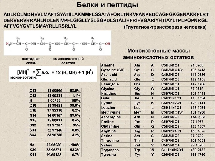 Белки и пептиды Моноизотопные массы аминокислотных остатков ADLKQLMDNEVLMAFTSYATIILAKMMFLSSATAFQRLTNKVFANPEDCAGFGKGENAKKFLRTDEKVERVRRAHLNDLENIVPFLGIGLLYSLSGPDLSTALIHFRIFVGARIYHTIAYLTPLPQPNRGLAFFVGYGVTLSMAYRLLRSRLYL (Глутатион-трансфераза человека) пептидная связь аминокислотный остаток