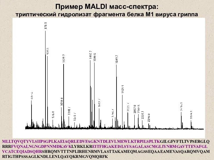 MLLTQVQTYVLSIIPSGPLKAEIAQRLEDVFAGKNTDLEVLMEWLKTRPILSPLTKGILGFVFTLTVPSERGLQRRRFVQNALNGNGDPNNMDKAVKLYRKLKREITFHGAKEISLSYSAGALASCMGLIYNRMGAVTTEVAFGLVCATCEQIADSQHRSHRQMVTTTNPLIRHENRMVLASTTAKAMEQMAGSSEQAAEAMEVASQARQMVQAMRTIGTHPSSSAGLKNDLLENLQAYQKRMGVQMQRFK Пример MALDI масс-спектра: триптический гидролизат фрагмента белка М1 вируса гриппа