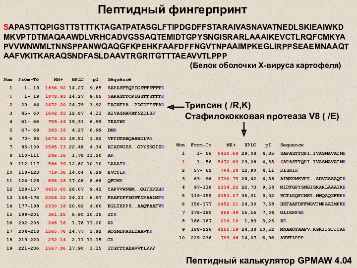 SAPASTTQPIGSTTSTTTKTAGATPATASGLFTIPDGDFFSTARAIVASNAVATNEDLSKIEAIWKDMKVPTDTMAQAAWDLVRHCADVGSSAQTEMIDTGPYSNGISRARLAAAIKEVCTLRQFCMKYAPVVWNWMLTNNSPPANWQAQGFKPEHKFAAFDFFNGVTNPAAIMPKEGLIRPPSEAEMNAAQTAAFVKITKARAQSNDFASLDAAVTRGRITGTTTAEAVVTLPPP (Белок оболочки Х-вируса картофеля) Пептидный фингерпринт Num From-To MH+