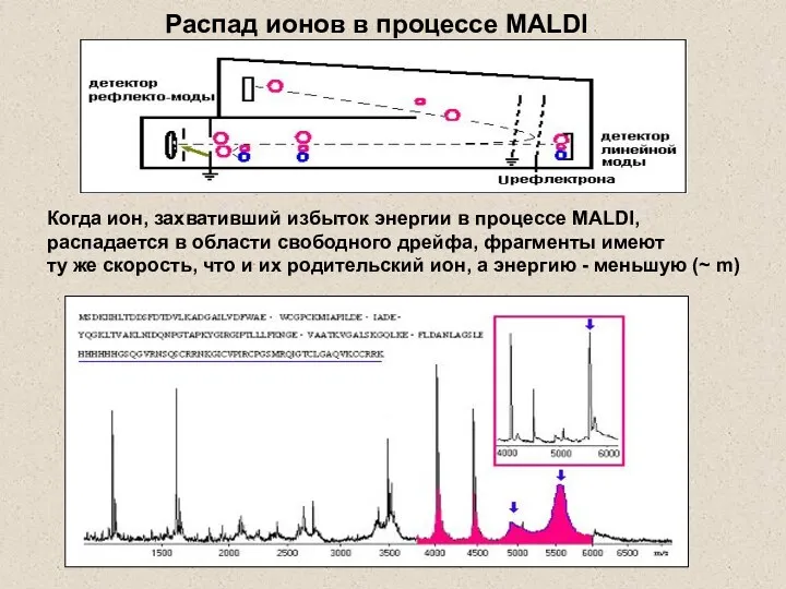 Когда ион, захвативший избыток энергии в процессе MALDI, распадается в