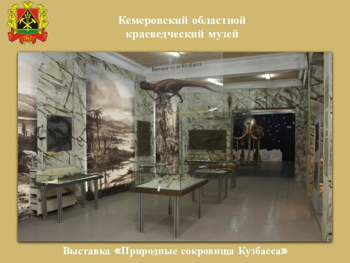 Выставка «Природные сокровища Кузбасса» Кемеровский областной краеведческий музей